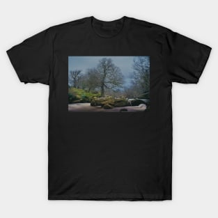 EARTH STONE WOOD WATER T-Shirt